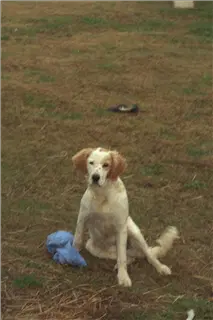 small_9400 1026 cew family, flowersImg0096.webp